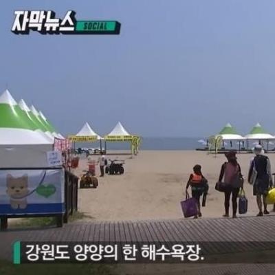 "만원짜리생선도회뜨면가격이달라지잖아요"