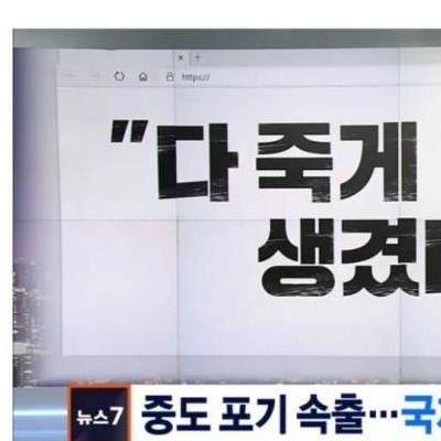 국제적으로중단요구나오는잼버리근황