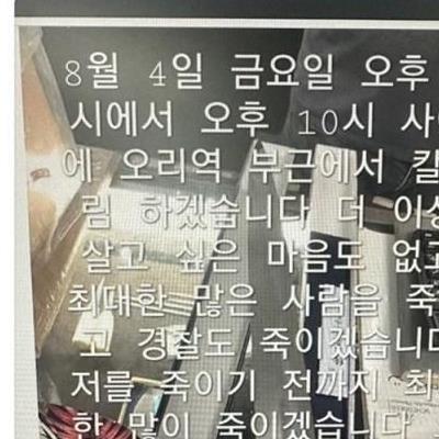 “잠실역20명죽일거다”“한국男찌르러간다”서현·한티·오리역등잇딴살인예고