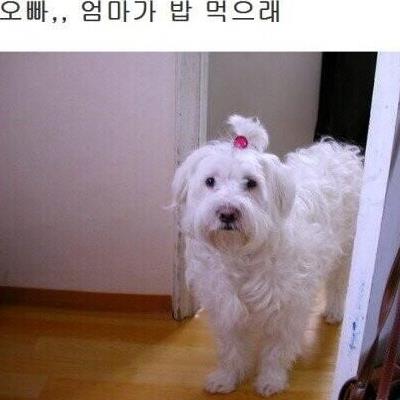 오빠 엄마가 밥 먹으래.jpg