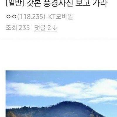 일뽕이 얼마나 똑똑한지 알아보자