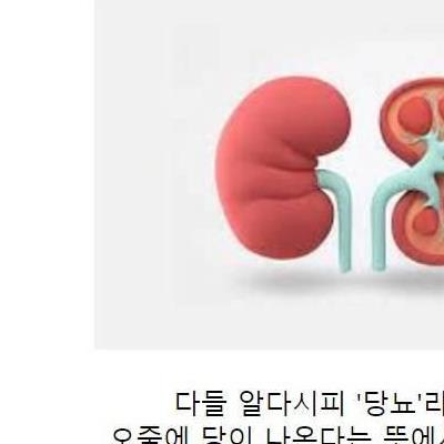 당뇨에사용되는신약수준.jpg